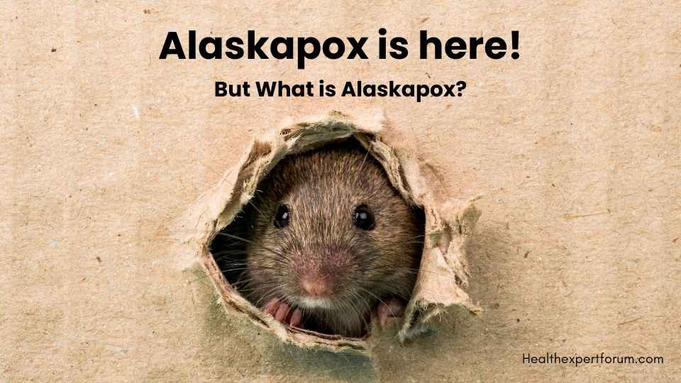 Alaskapox Spread Rumour? What is Alaskapox?